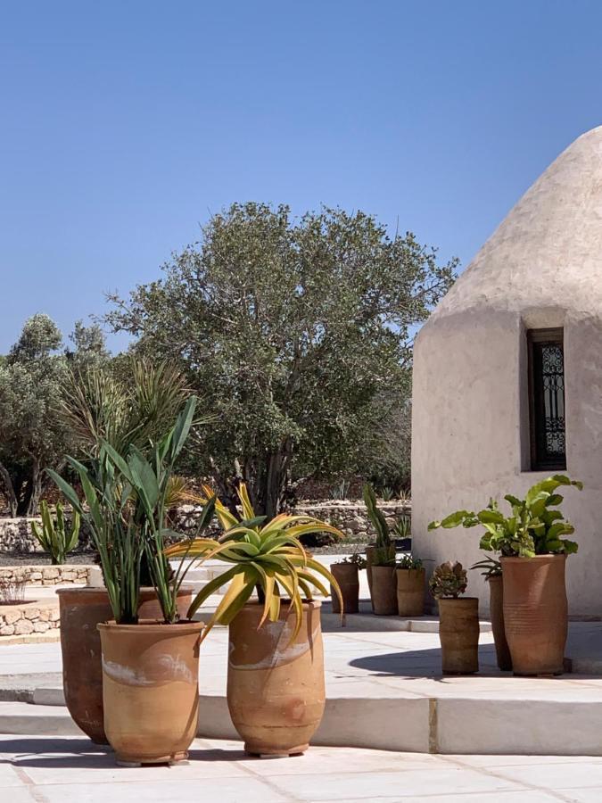 Les Jardins De Villa Maroc Есувейра Екстериор снимка